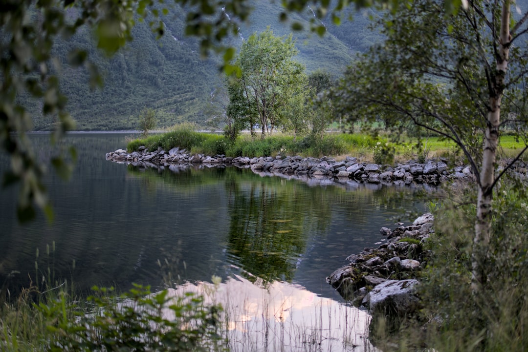 Ørretfiske: Tips og teknikker for suksess