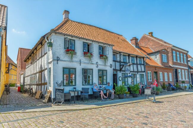 Fluefiskehistorie: En Reise Gjennom Tid og Teknikk