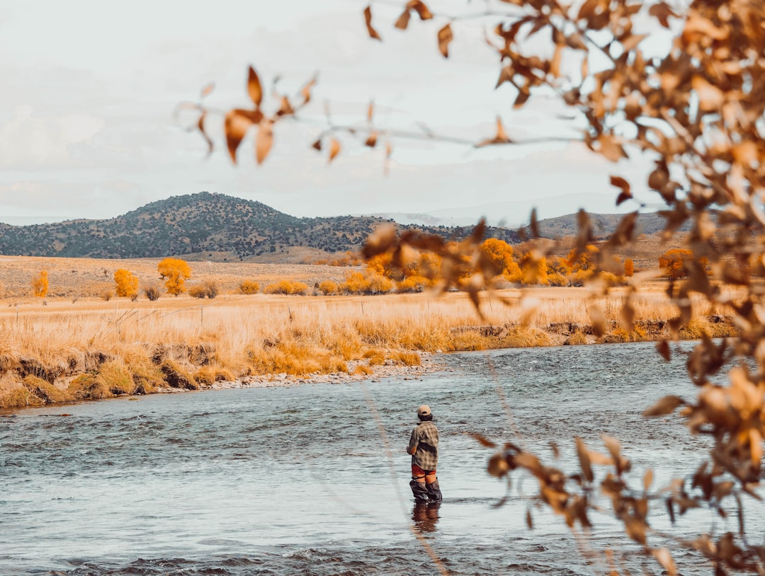 Fluefiskekunst: En Dypdykk i Det Magiske Fisket