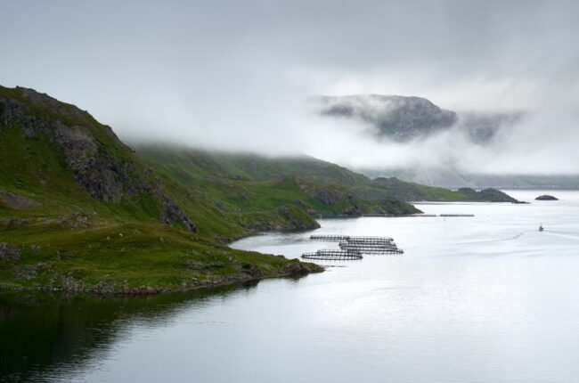 Oppdag De Beste Fiskeplassene i Norge