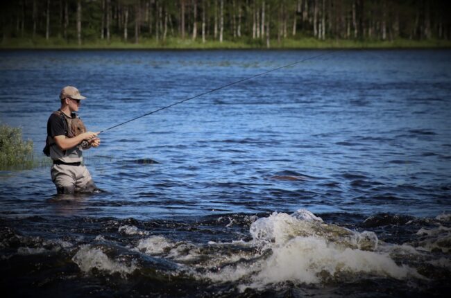 Sjøørret: En Omfattende Guide til Denne Fantastiske Fiskeopplevelsen