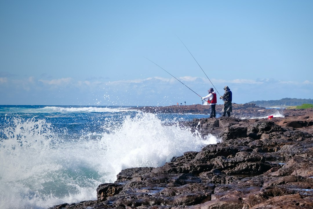 Sjøørret: Fiske, Habitat og Teknikker