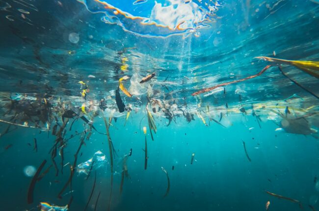 Bærekraftig fiske: En nødvendig fremtid for havet