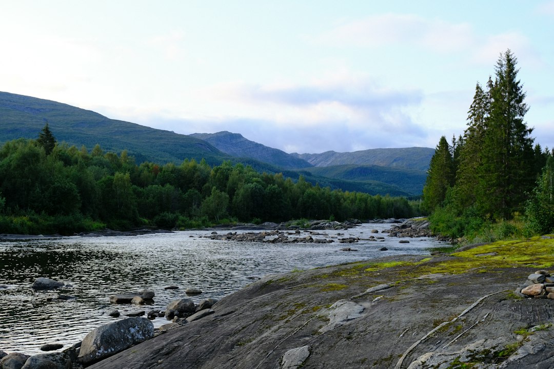 Den Ultimative Guiden til Fluefiske i Norge