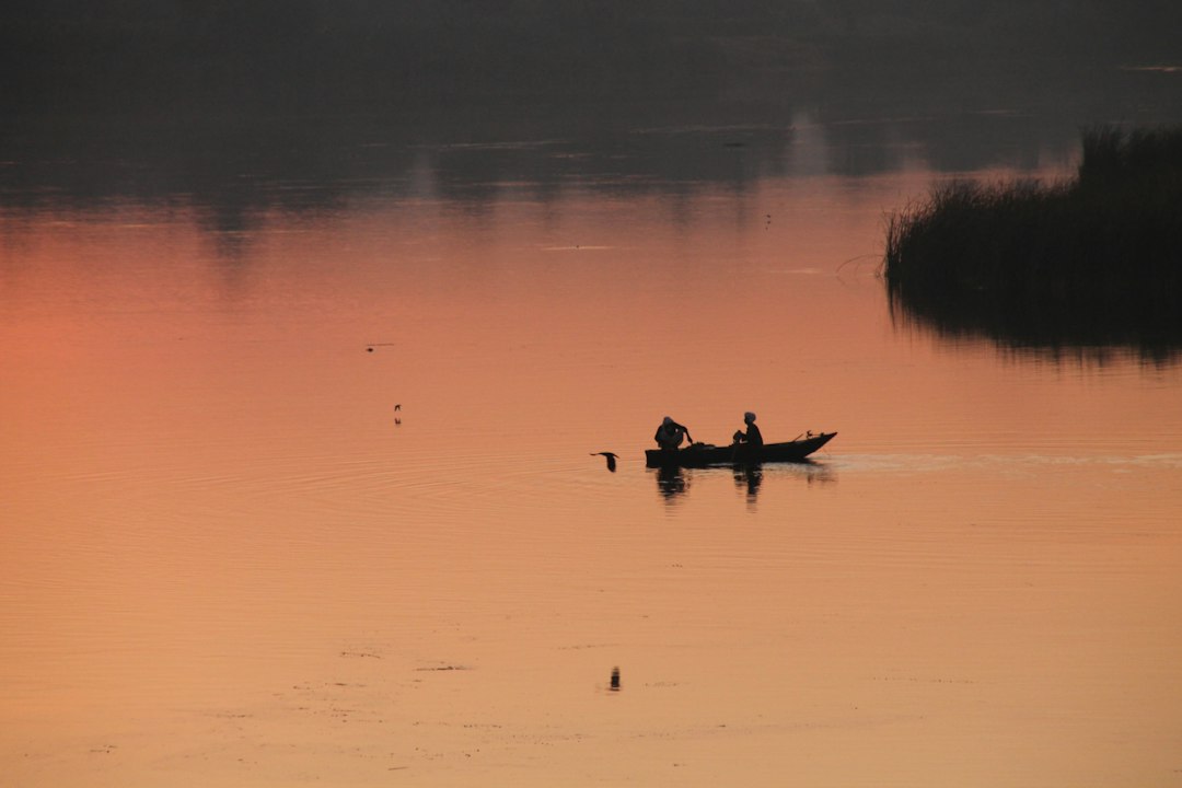 Fiskefilmer: En Dypdykk i Filmenes Verden for Fiskeglade