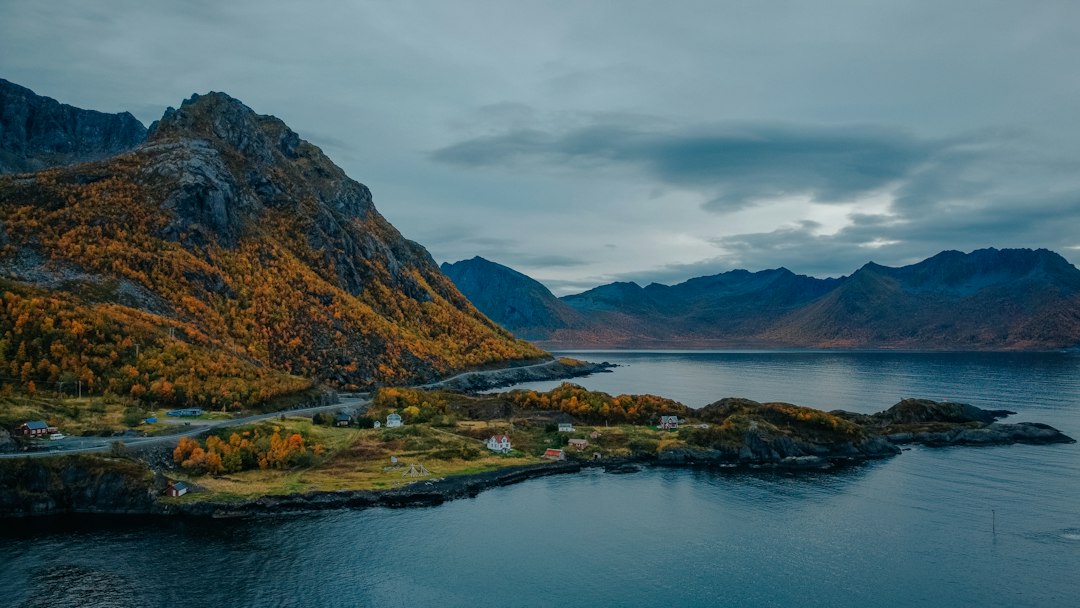 Fluefiskereise: En Eventyrlig Reise for Fiskentusiaster