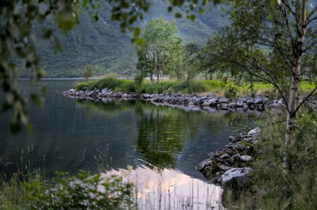 Vannmiljø: En Uunnværlig Del av Naturen